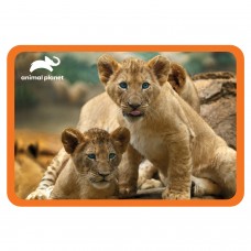 African Lion Placemat