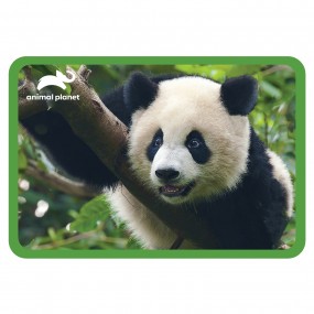 Giant Panda Placemat