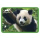 Giant Panda Placemat